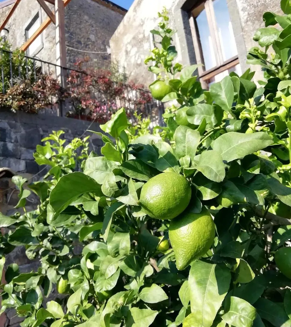 La Pietra Antica O' Munti Hotel Puntalazzo Farm stay Mascali