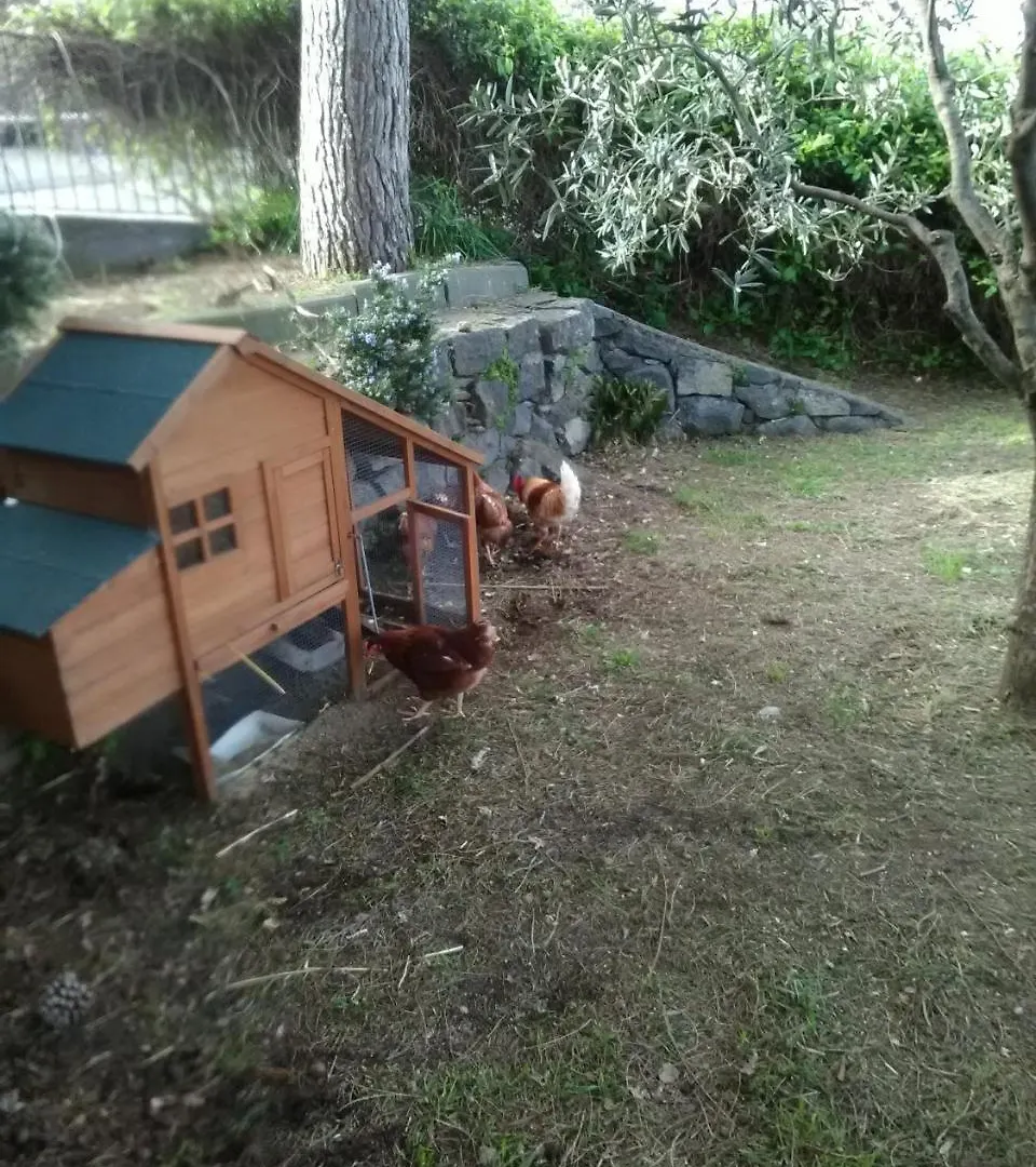 La Pietra Antica O' Munti Hotel Puntalazzo Italy