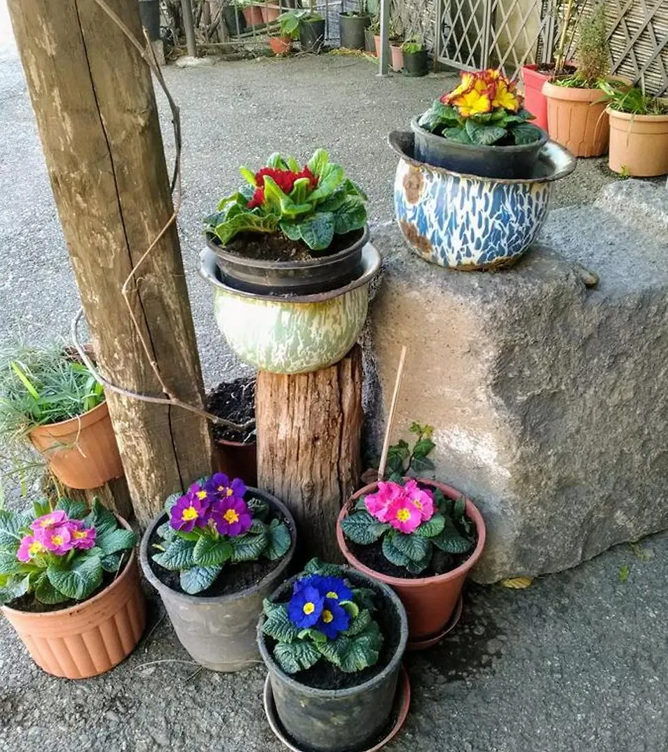 Farm stay La Pietra Antica O' Munti Hotel Puntalazzo Italy
